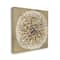 Stupell Industries Abstract Dandelion Flower Full Bloom Brown White Canvas Wall Art